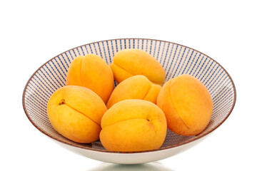 A few bright yellow apricots on a ceramic plate, macro, isolated on a white background.