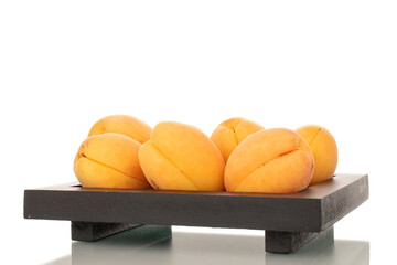 Several bright yellow apricots on a black wooden tray, macro, isolated on white background.