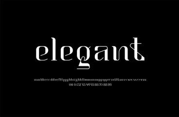 Fototapeta premium Elegant beautiful alphabet serif font, classic lettering, or design, set including two sets of differently lowercase letters and numbers, vector illustration 10EPS