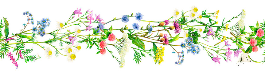 Realistic border from meadow wildflowers - field bell, clover, yarrow, camomile, forget-me-not, cornflower, mouse pees and tansy hand-drawn. Watercolor floral natural illustration of delicate plants
