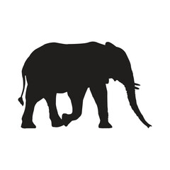 Elephant silhouettes 