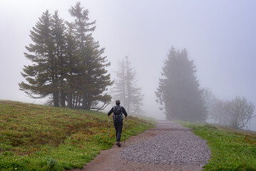 walking in the woods