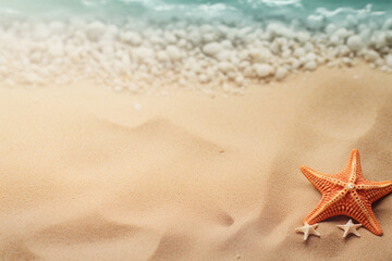 Fototapeta na wymiar starfish on the high seas are very beautiful