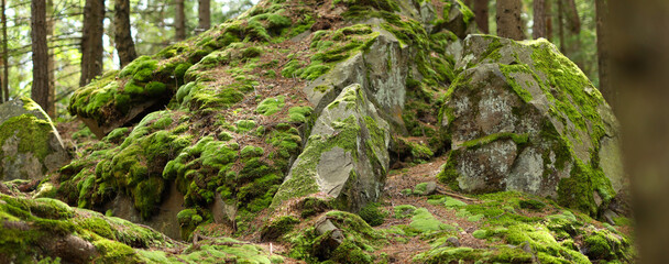 A moss-covered rock formation in a forest made up of large boulders and smaller rocks, all covered in bright green moss. - Powered by Adobe