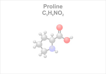 Simplified scheme of the proline molecule. Substance is needed for the formation of collagen.