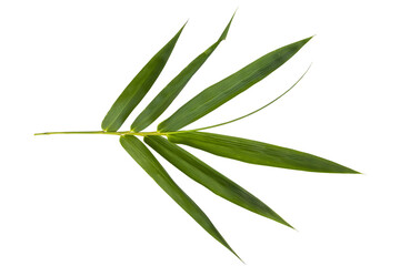 bamboo leaf arrangement flat lay style 