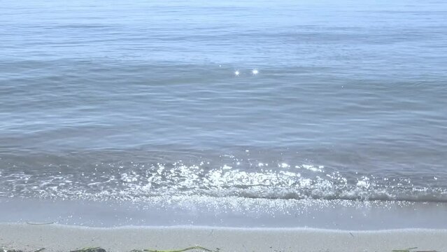 230715_megi2_0005.mp4