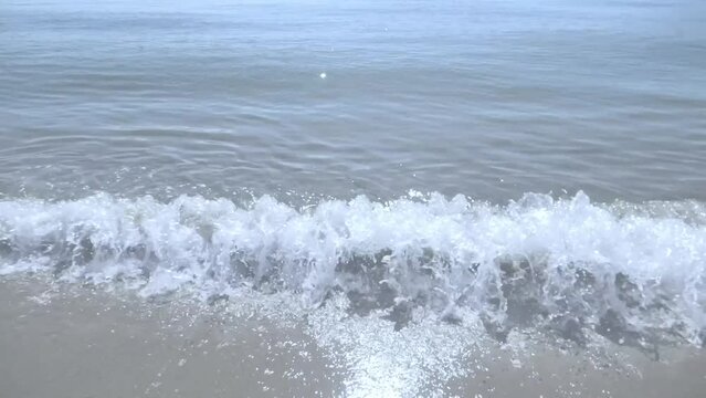 230715_megi2_0008.mp4
