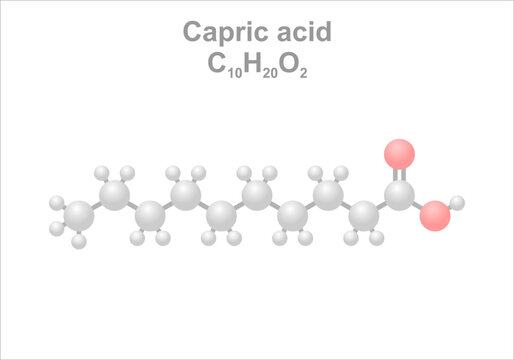 Simplified scheme of the capric acid molecule. Smells sweaty and unpleasant. Reminiscent of the smell of goat.