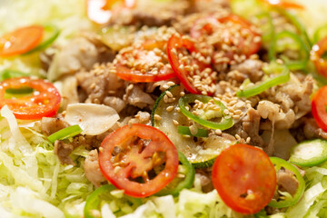 Salad with Stir-Fried Meat