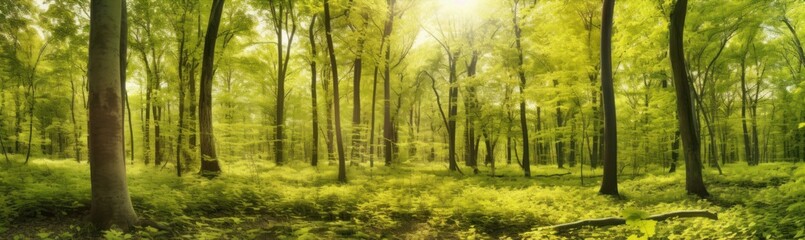 Fototapeta premium Silent Forest in spring with beautiful bright sun rays. Generative AI