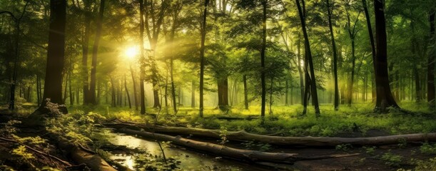 Obraz premium Silent Forest in spring with beautiful bright sun rays. Generative AI