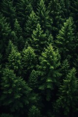 Fototapeta premium Misty mountain landscape. Moody forest landscape with fog and mist. Generative AI