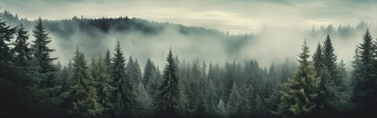 Crédence de cuisine en verre imprimé Kaki Misty mountain landscape. Moody forest landscape with fog and mist. Generative AI