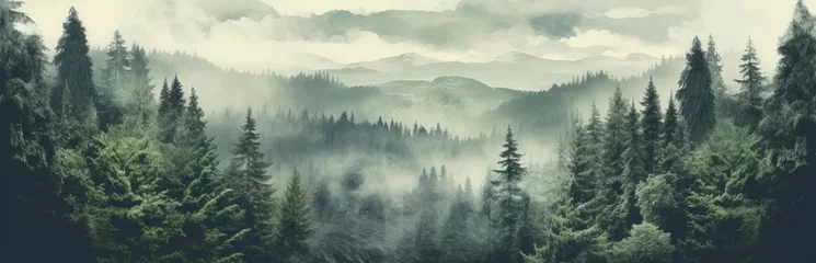 Foto auf Acrylglas Wald im Nebel Misty mountain landscape. Moody forest landscape with fog and mist. Generative AI