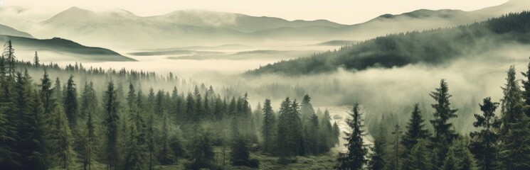 Naklejka premium Misty mountain landscape. Moody forest landscape with fog and mist. Generative AI