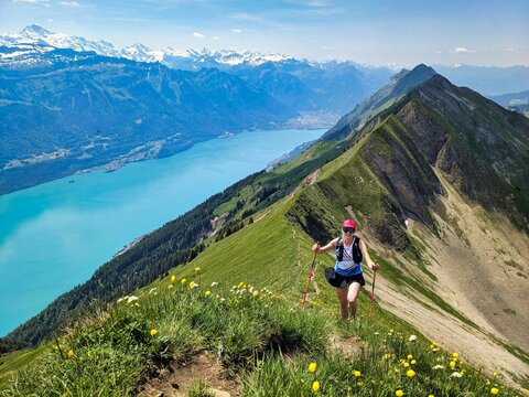 Trail running on the Hardergrat. Hiking on the harder ridge. Breathtaking view above Lake Brienz. Brienzer Rothorn. High quality photo. Interlaken 
