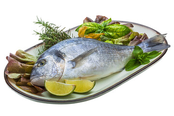 Fresh raw dorada
