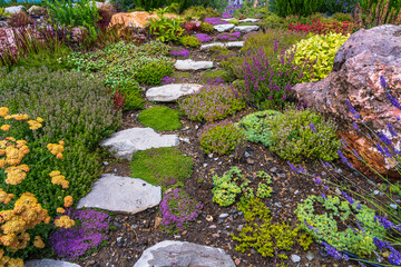 Path of white cobblestones in the garden among medicinal herbs. Thyme, lavender, sage and rosemary...