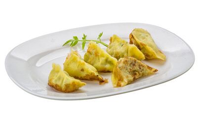 Japan dumplings - gyoza