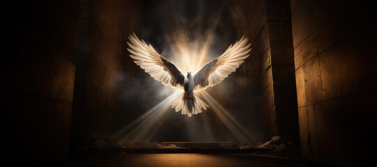 Winged dove with copy space, a representation of the New Testament Holy Spirit - obrazy, fototapety, plakaty