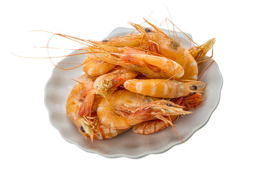 Big tiger shrimps