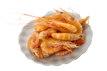 Big tiger shrimps