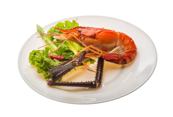 Giant Freshwater Prawn