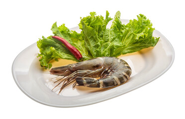 Tiger prawn