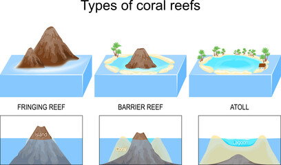 Types, and structure of coral reefs and islands.