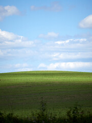 Obraz premium Summer landscape with low cumulus clouds, green field