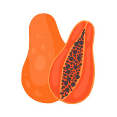 Vector clipart papaya on white background. Hand drawn flat fruit. Juicy tropical food. Illustration