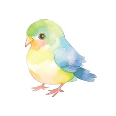 Cute bird watercolor paint 