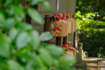 東京赤坂にある氷川神社の絵馬掛け