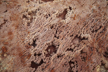 Dallol, Danakil-Depression, Äthiopien