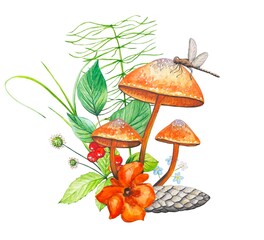 Forest watercolor composition. Illustration with colorful mushrooms, forest herbs, cone, flower. Forest mushrooms on a white background