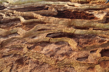 Dallol, Danakil-Depression, Äthiopien