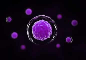 Stem cells seen under a scanning microscope, 3D rendered