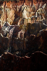 Parc national  Ankarafantsilka, Ampijoara, Madagascar