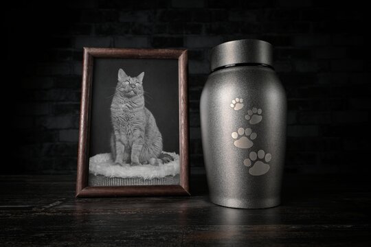 In remembrance of a pet. Decorative urn , next to a photograph of the pet. 