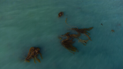 Pacific Ocean Aerial View, Refugio Beach, Gaviota Coast, Santa Barbara County