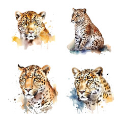 Leopard watercolor paint collection