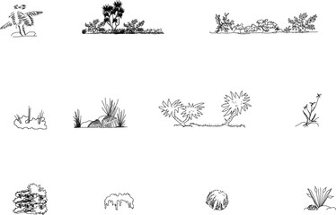 Vector sketch detailed silhouette illustration of wild bush plant in urban forest park