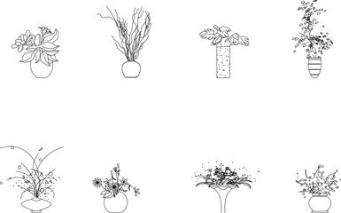 Vector sketch of detailed silhouette illustration of a potted ornamental plant for decoration in the garden and in the house