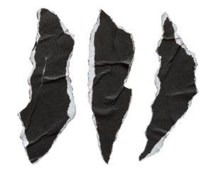 Pieces of torn black paper in animal claw shape