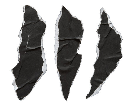 Pieces of torn black paper in animal claw shape
