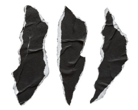 Pieces of torn black paper in animal claw shape