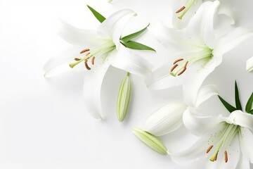 Lily flowers. Generate Ai