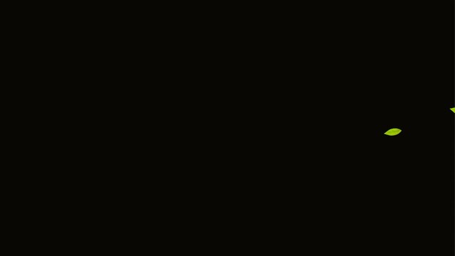 flying leaves background and 2d animation