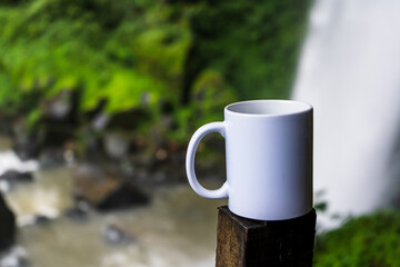 The image portrays a white blank mug, expertly arranged with a simple style, adding sophistication to the natural scene